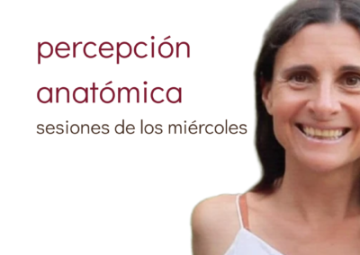Percepción anatómica