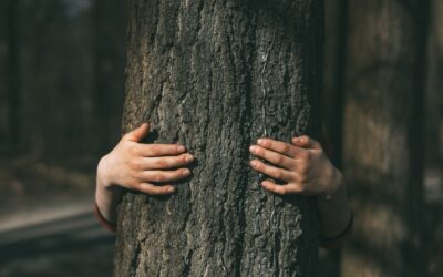 Embodiment: la inteligencia silenciosa de la presencia