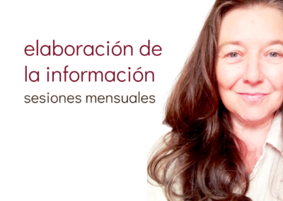 Elaboración de la información